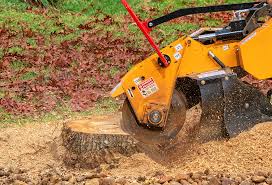 Best Tree Mulching Services  in Clinton, NC